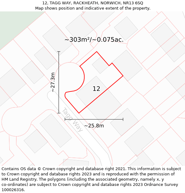 12, TAGG WAY, RACKHEATH, NORWICH, NR13 6SQ: Plot and title map