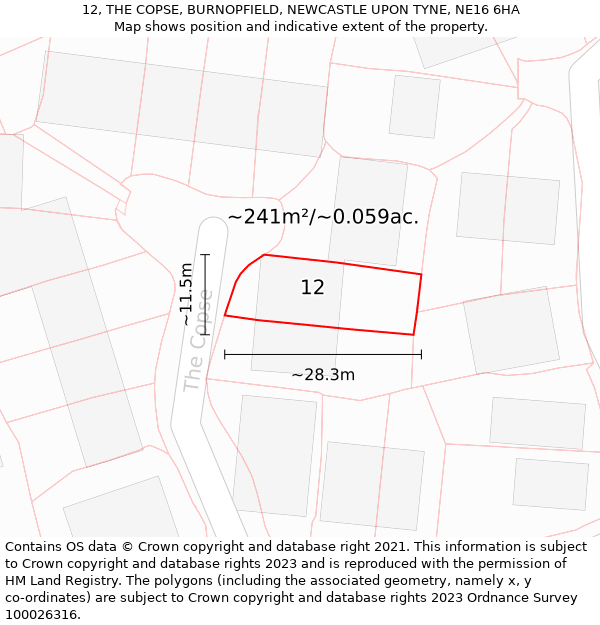 12, THE COPSE, BURNOPFIELD, NEWCASTLE UPON TYNE, NE16 6HA: Plot and title map