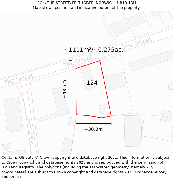 124, THE STREET, FELTHORPE, NORWICH, NR10 4DH: Plot and title map