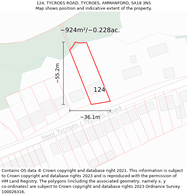 124, TYCROES ROAD, TYCROES, AMMANFORD, SA18 3NS: Plot and title map