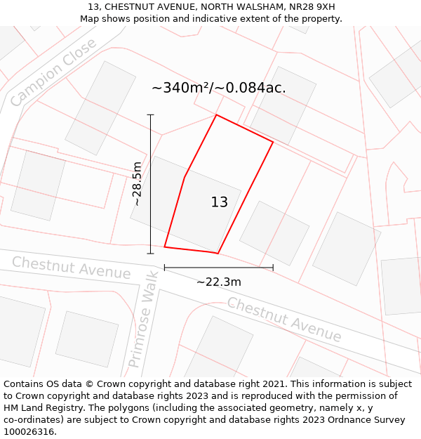 13, CHESTNUT AVENUE, NORTH WALSHAM, NR28 9XH: Plot and title map