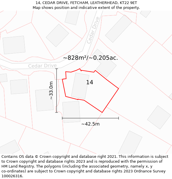 14, CEDAR DRIVE, FETCHAM, LEATHERHEAD, KT22 9ET: Plot and title map