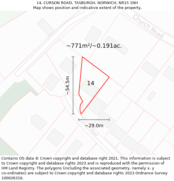 14, CURSON ROAD, TASBURGH, NORWICH, NR15 1NH: Plot and title map