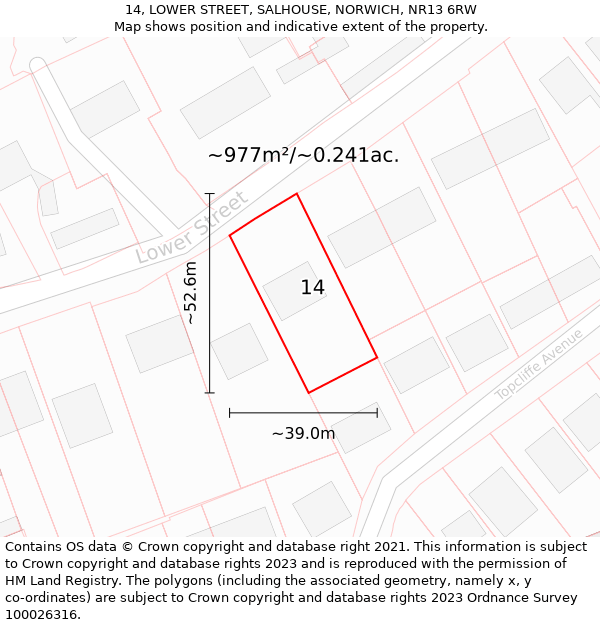 14, LOWER STREET, SALHOUSE, NORWICH, NR13 6RW: Plot and title map