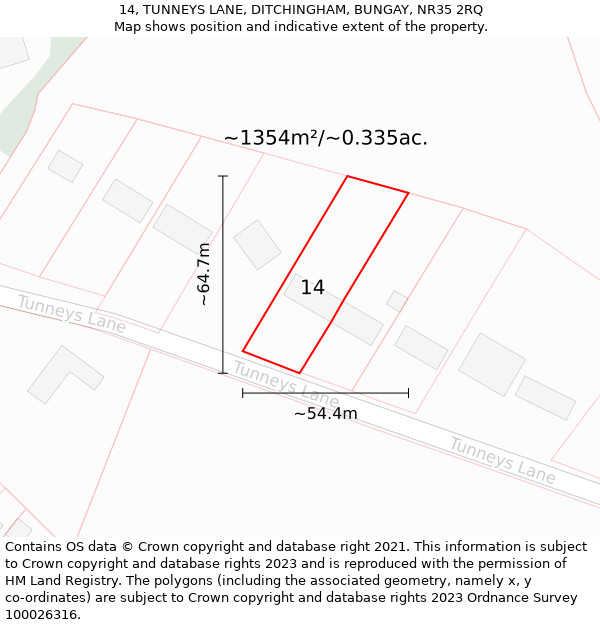14, TUNNEYS LANE, DITCHINGHAM, BUNGAY, NR35 2RQ: Plot and title map