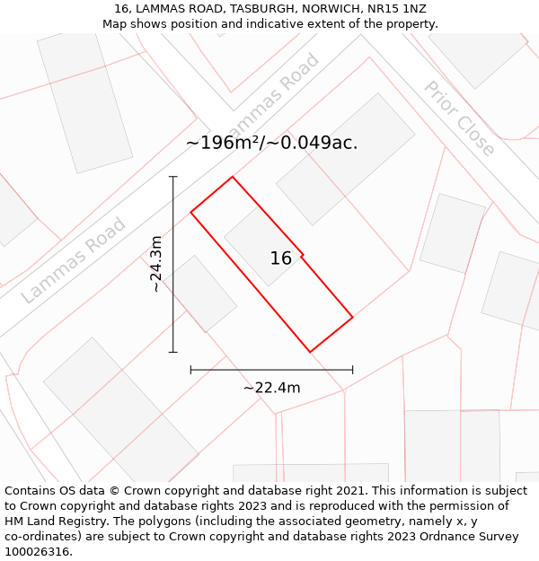 16, LAMMAS ROAD, TASBURGH, NORWICH, NR15 1NZ: Plot and title map