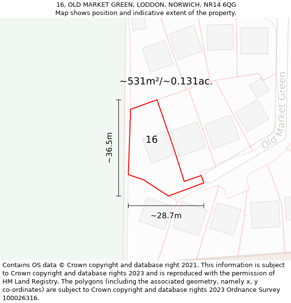 16, OLD MARKET GREEN, LODDON, NORWICH, NR14 6QG: Plot and title map