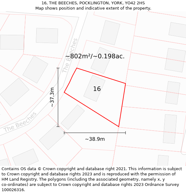 16, THE BEECHES, POCKLINGTON, YORK, YO42 2HS: Plot and title map