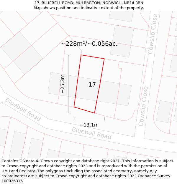 17, BLUEBELL ROAD, MULBARTON, NORWICH, NR14 8BN: Plot and title map