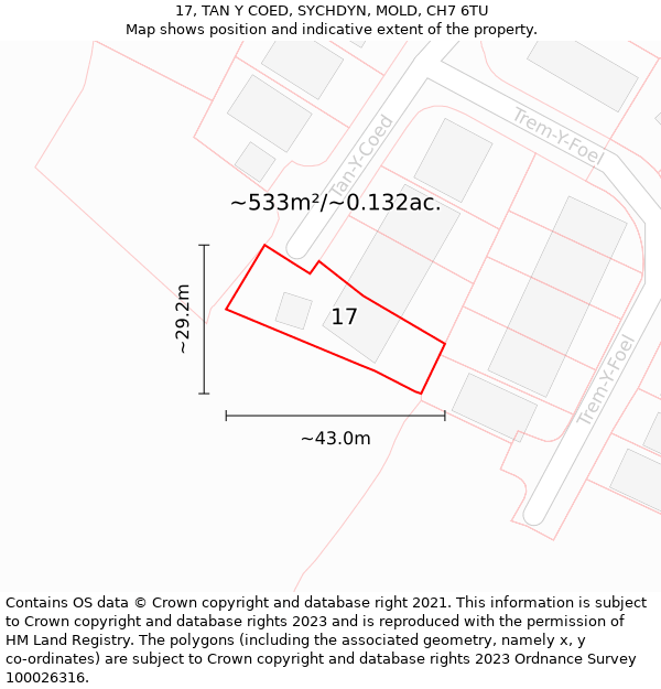 17, TAN Y COED, SYCHDYN, MOLD, CH7 6TU: Plot and title map