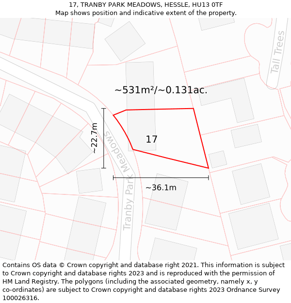 17, TRANBY PARK MEADOWS, HESSLE, HU13 0TF: Plot and title map