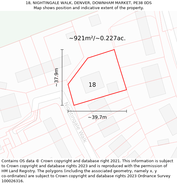 18, NIGHTINGALE WALK, DENVER, DOWNHAM MARKET, PE38 0DS: Plot and title map