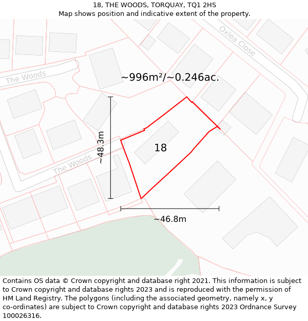 18, THE WOODS, TORQUAY, TQ1 2HS: Plot and title map