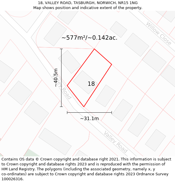 18, VALLEY ROAD, TASBURGH, NORWICH, NR15 1NG: Plot and title map