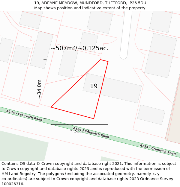 19, ADEANE MEADOW, MUNDFORD, THETFORD, IP26 5DU: Plot and title map