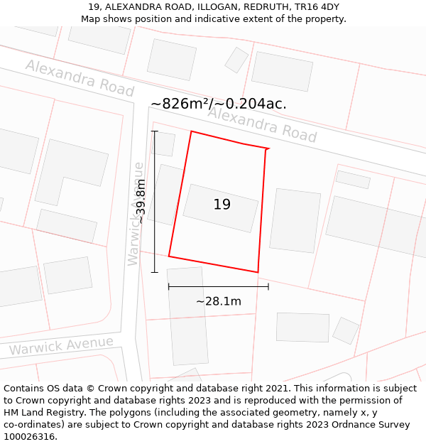 19, ALEXANDRA ROAD, ILLOGAN, REDRUTH, TR16 4DY: Plot and title map