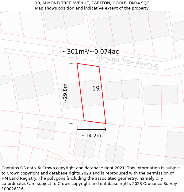 19, ALMOND TREE AVENUE, CARLTON, GOOLE, DN14 9QG: Plot and title map