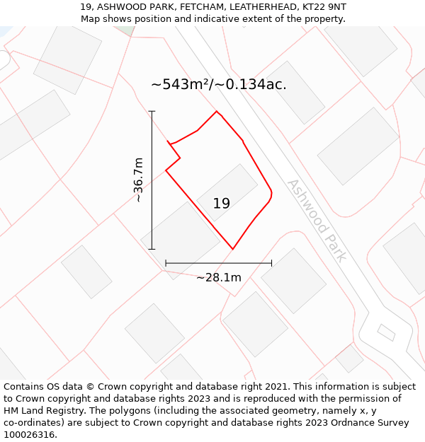 19, ASHWOOD PARK, FETCHAM, LEATHERHEAD, KT22 9NT: Plot and title map