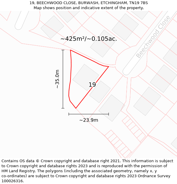 19, BEECHWOOD CLOSE, BURWASH, ETCHINGHAM, TN19 7BS: Plot and title map