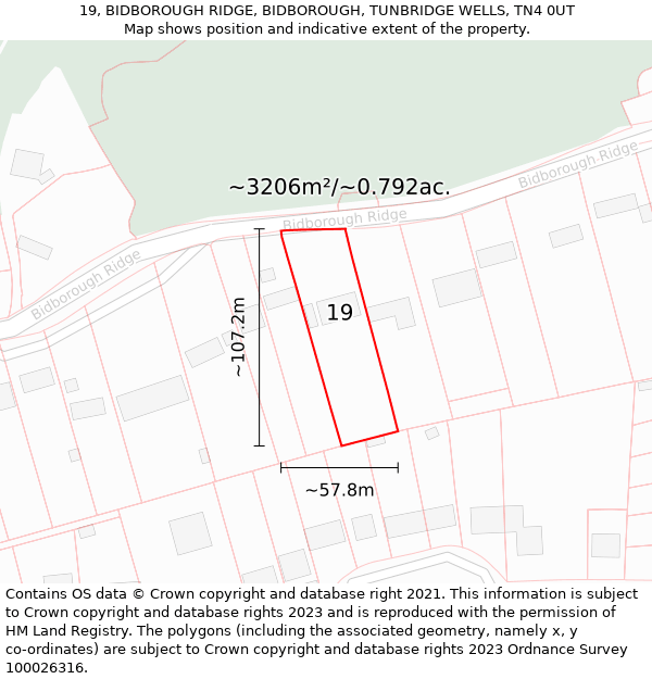 19, BIDBOROUGH RIDGE, BIDBOROUGH, TUNBRIDGE WELLS, TN4 0UT: Plot and title map