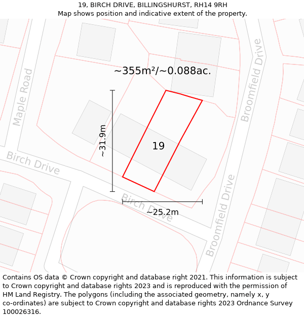 19, BIRCH DRIVE, BILLINGSHURST, RH14 9RH: Plot and title map