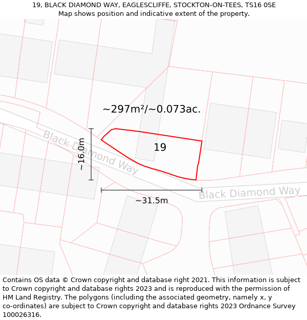 19, BLACK DIAMOND WAY, EAGLESCLIFFE, STOCKTON-ON-TEES, TS16 0SE: Plot and title map