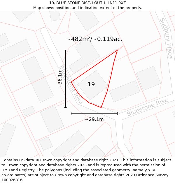 19, BLUE STONE RISE, LOUTH, LN11 9XZ: Plot and title map