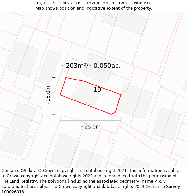 19, BUCKTHORN CLOSE, TAVERHAM, NORWICH, NR8 6YG: Plot and title map