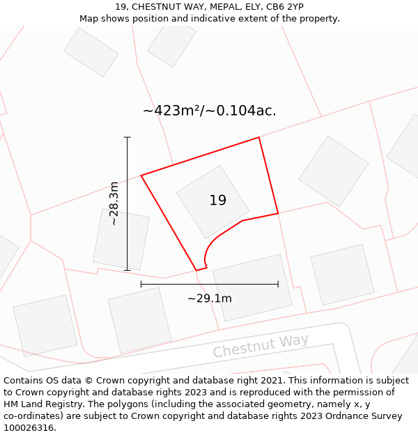 19, CHESTNUT WAY, MEPAL, ELY, CB6 2YP: Plot and title map