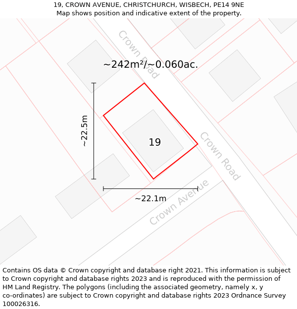 19, CROWN AVENUE, CHRISTCHURCH, WISBECH, PE14 9NE: Plot and title map