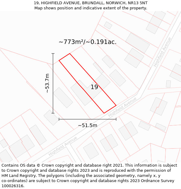 19, HIGHFIELD AVENUE, BRUNDALL, NORWICH, NR13 5NT: Plot and title map