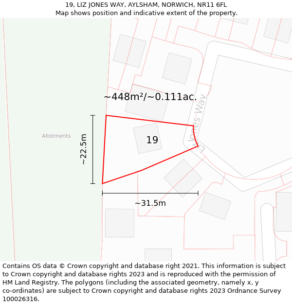 19, LIZ JONES WAY, AYLSHAM, NORWICH, NR11 6FL: Plot and title map