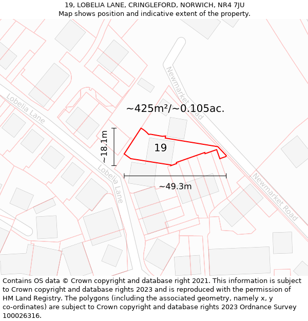 19, LOBELIA LANE, CRINGLEFORD, NORWICH, NR4 7JU: Plot and title map