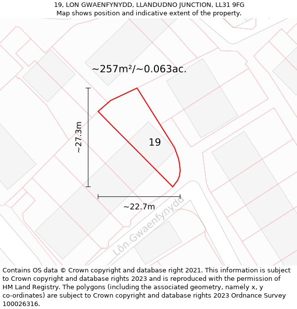 19, LON GWAENFYNYDD, LLANDUDNO JUNCTION, LL31 9FG: Plot and title map