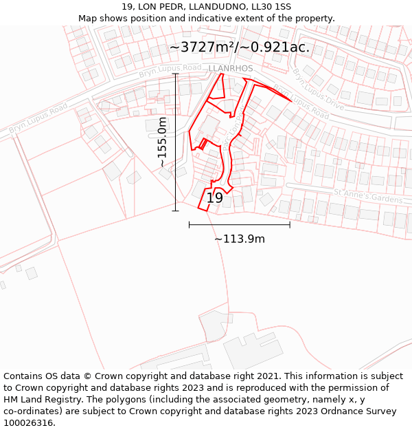 19, LON PEDR, LLANDUDNO, LL30 1SS: Plot and title map