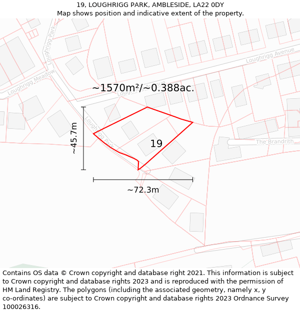 19, LOUGHRIGG PARK, AMBLESIDE, LA22 0DY: Plot and title map