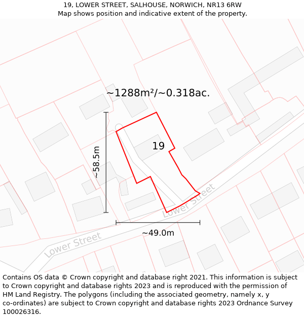 19, LOWER STREET, SALHOUSE, NORWICH, NR13 6RW: Plot and title map