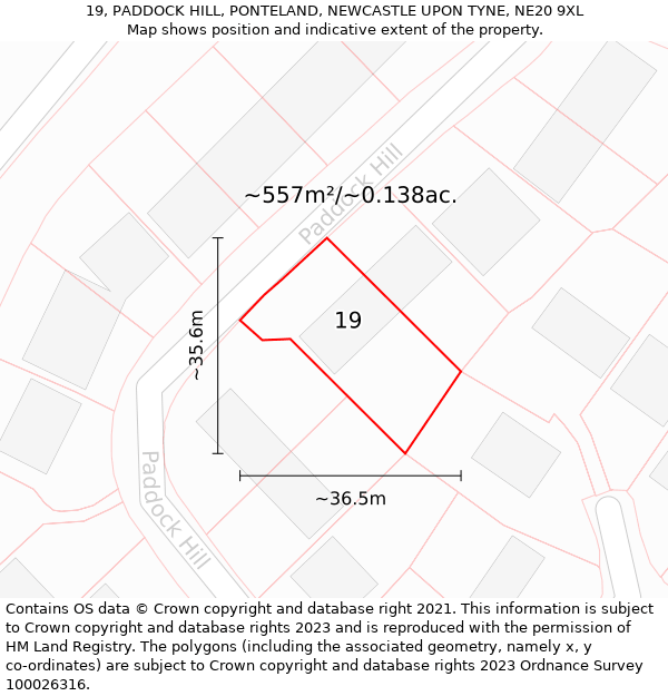 19, PADDOCK HILL, PONTELAND, NEWCASTLE UPON TYNE, NE20 9XL: Plot and title map
