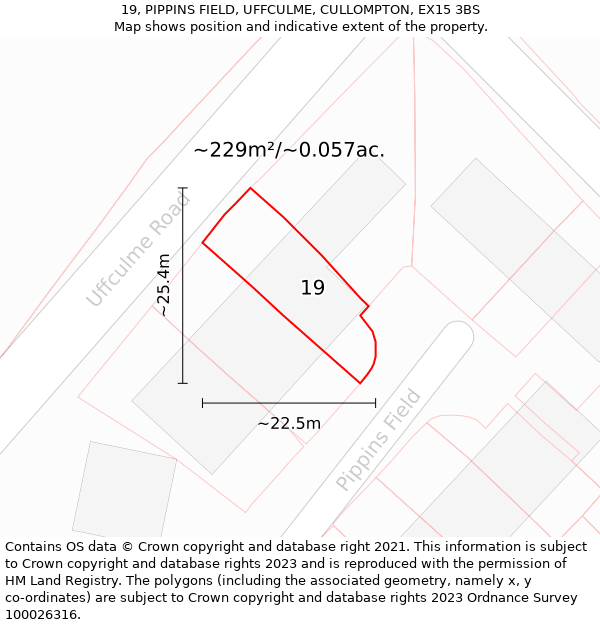 19, PIPPINS FIELD, UFFCULME, CULLOMPTON, EX15 3BS: Plot and title map