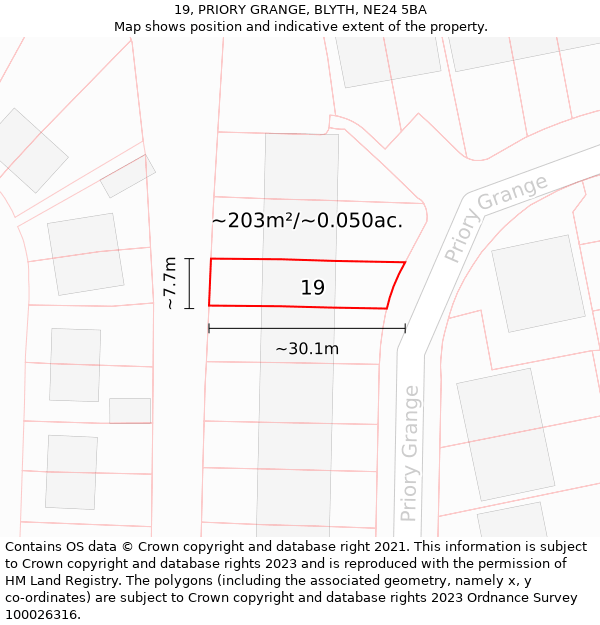 19, PRIORY GRANGE, BLYTH, NE24 5BA: Plot and title map