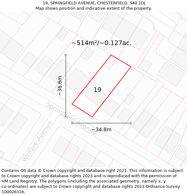 19, SPRINGFIELD AVENUE, CHESTERFIELD, S40 1DJ: Plot and title map