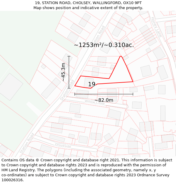 19, STATION ROAD, CHOLSEY, WALLINGFORD, OX10 9PT: Plot and title map