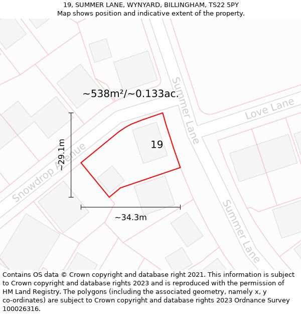 19, SUMMER LANE, WYNYARD, BILLINGHAM, TS22 5PY: Plot and title map