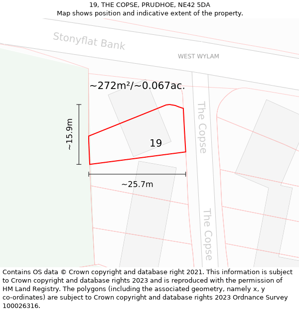 19, THE COPSE, PRUDHOE, NE42 5DA: Plot and title map