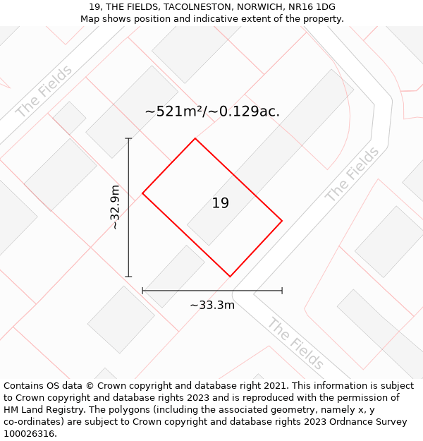 19, THE FIELDS, TACOLNESTON, NORWICH, NR16 1DG: Plot and title map