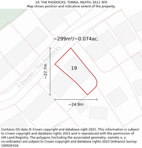 19, THE PADDOCKS, TONNA, NEATH, SA11 3FD: Plot and title map