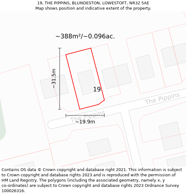 19, THE PIPPINS, BLUNDESTON, LOWESTOFT, NR32 5AE: Plot and title map