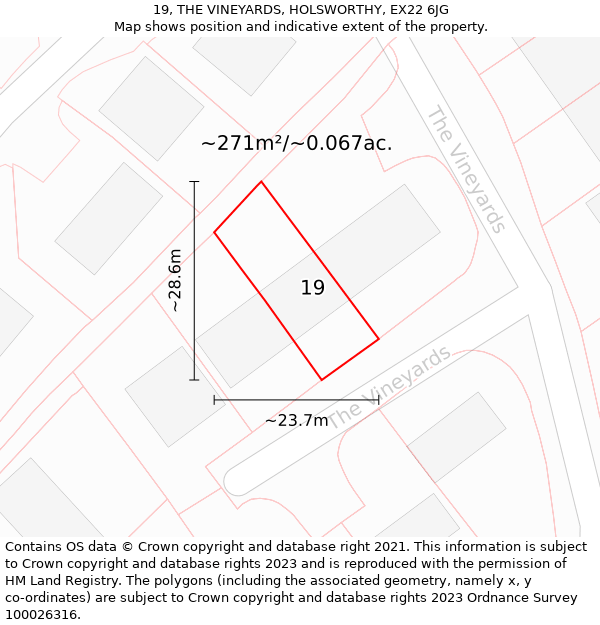 19, THE VINEYARDS, HOLSWORTHY, EX22 6JG: Plot and title map