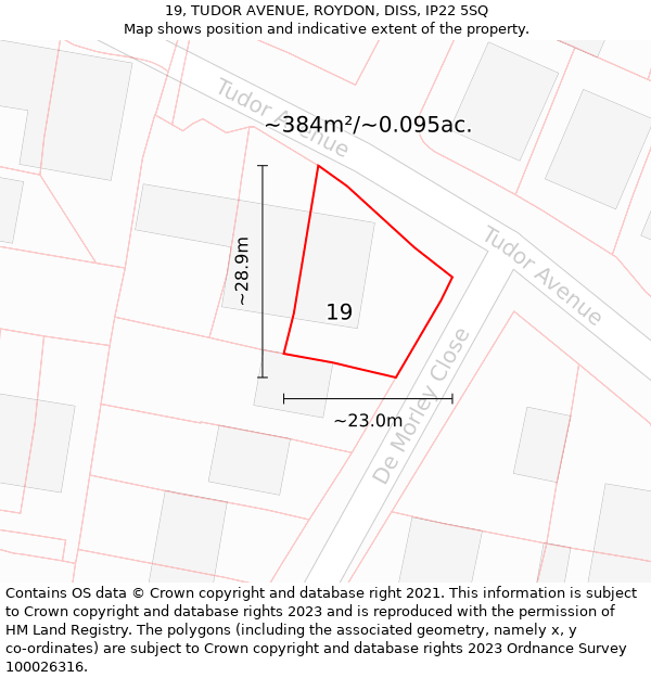 19, TUDOR AVENUE, ROYDON, DISS, IP22 5SQ: Plot and title map