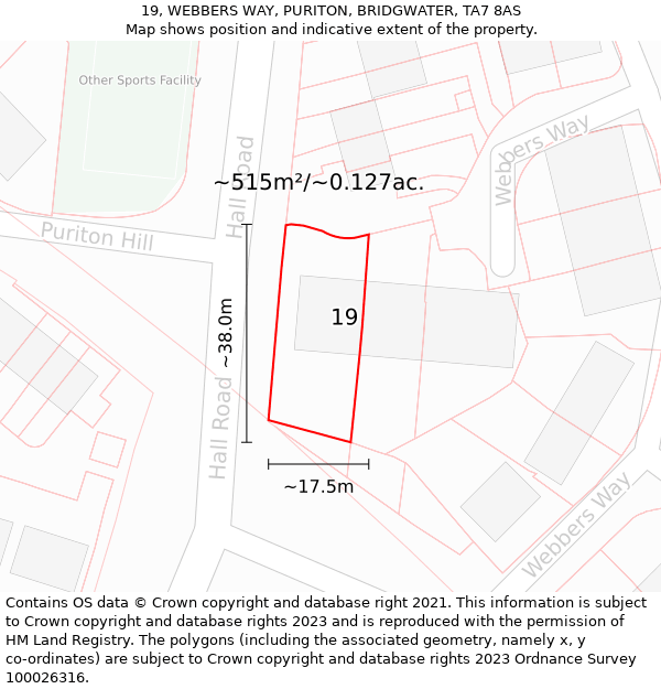 19, WEBBERS WAY, PURITON, BRIDGWATER, TA7 8AS: Plot and title map